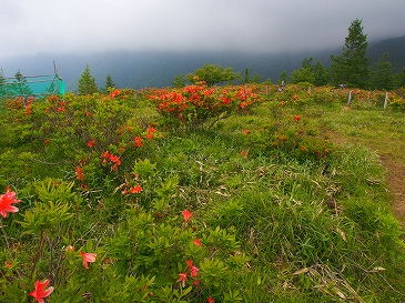 甘利山