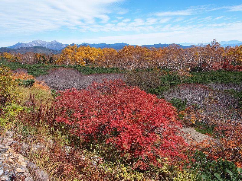 ナナカマドの紅葉と穂高岳