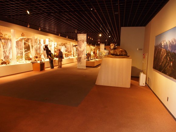 大町山岳博物館常設展示