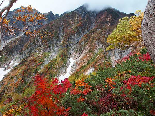 シラタケ沢から五竜岳頂稜までせり上がる岩壁