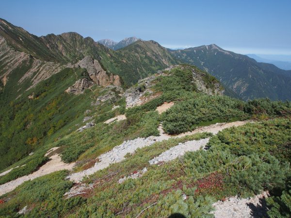 稜線部分から右端は爺ヶ岳、順に岩小屋沢岳、鳴沢岳