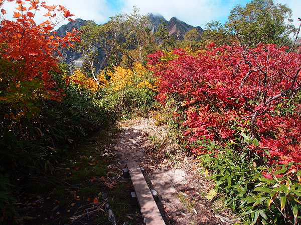 紅葉に染まる登山道
