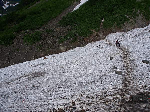 杓子沢の雪渓を通過