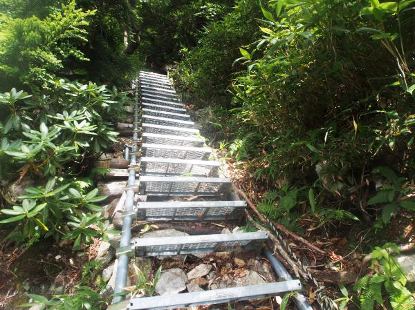 樹林帯最後の階段