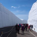 立山と雪の大谷ウォーク