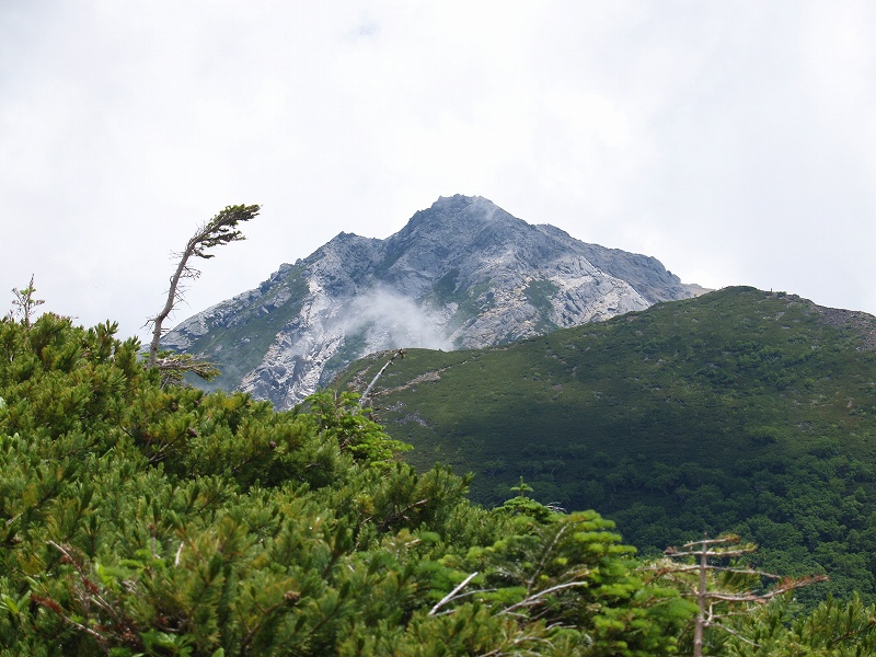 右手前が駒津峰、遠景に甲斐駒ヶ岳