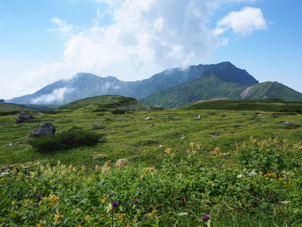 室堂平から大日三山