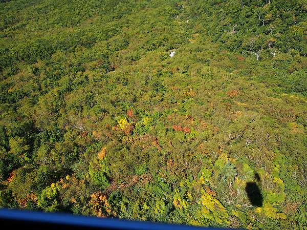 立山ロープウェイからの紅葉