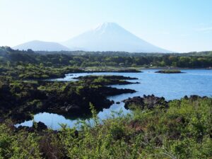 富士山