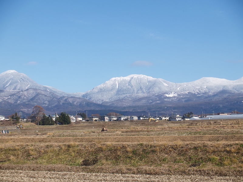 北八ヶ岳