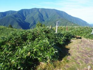 恵那山