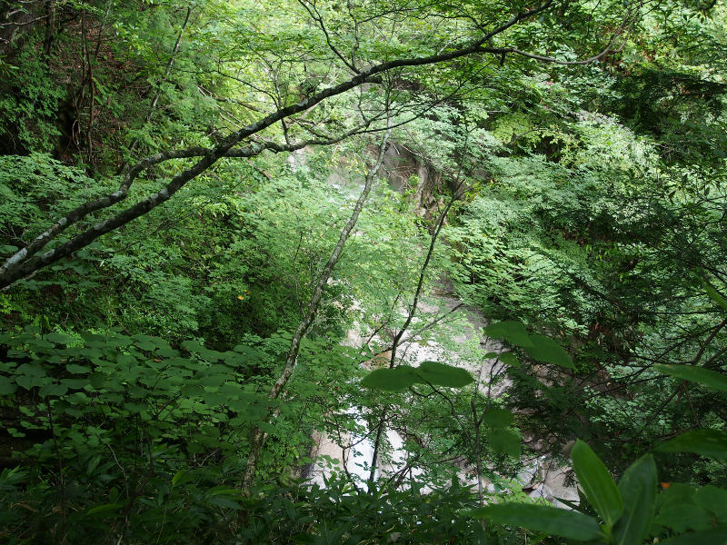 紅葉ノ滝