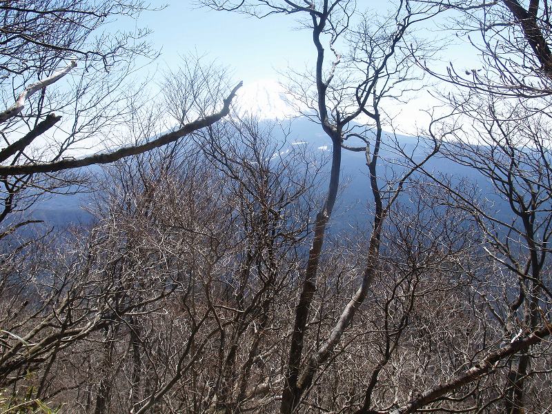 南斜面から富士山