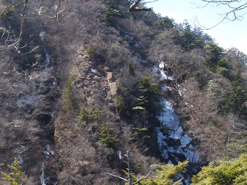 十二ヶ岳の核心部の拡大