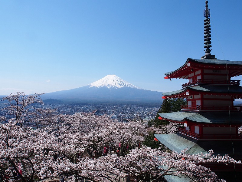 富士山と五重塔「忠霊塔」と桜