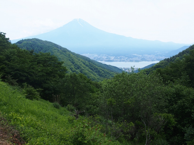 天下茶屋から富士山の眺望