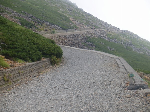 平坦な作業道を歩く