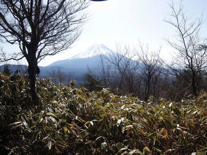 富士山の展望が山頂まで続く