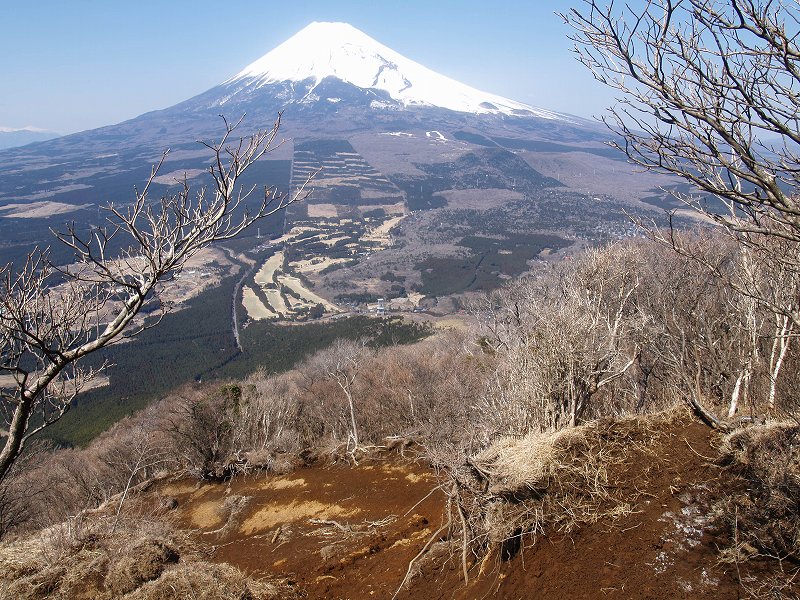十里木高原と富士山