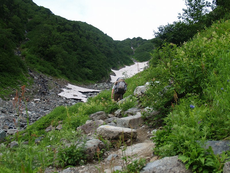 大樺沢の雪渓が近づく