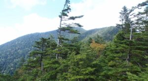 黒井沢登山口から恵那山