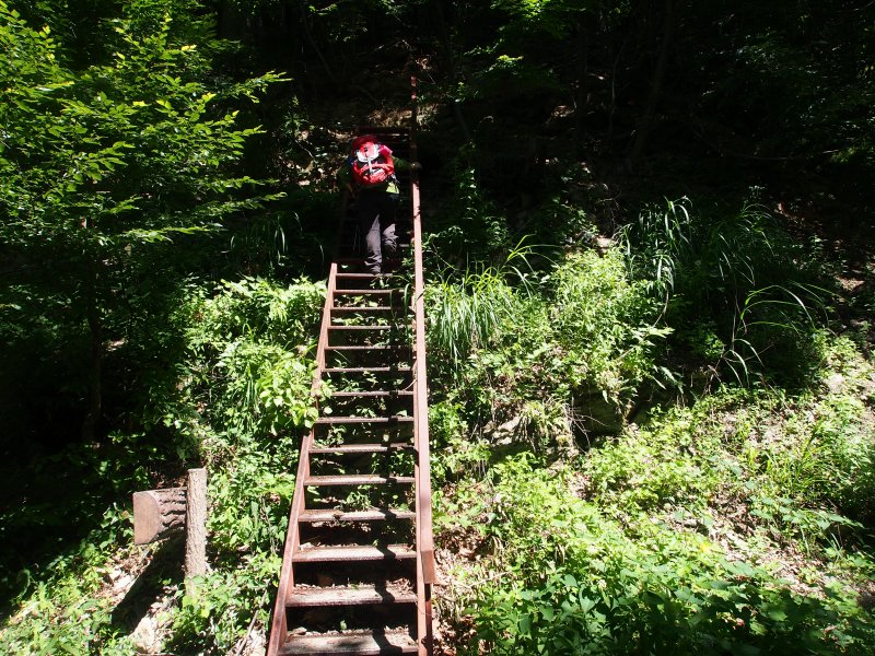 林道に架かる鉄梯子登って小石下を目指します。登山口の椹島ロッジからここまで約2時間のコースタイムでした。