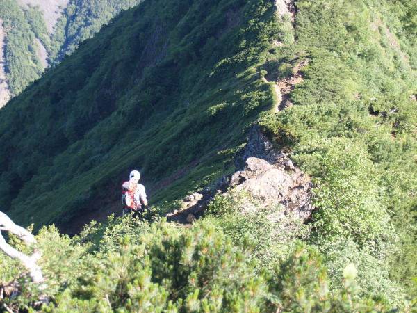 ゲンシー梯子を降り、少し下った所が旭岳と権現岳のコルです。狭い稜線を進んで行きます。