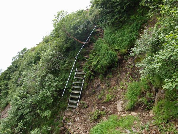 アルミ製の梯子が架けられ、その上部は丸太で階段状になっています。この急斜面を登り上げれば県界尾根分岐です。