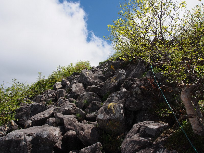 北側をトラバース気味に登って行くと、直径100メートルほどの広い山頂の北東端に建つ蓼科山頂ヒュッテが見えてきます。