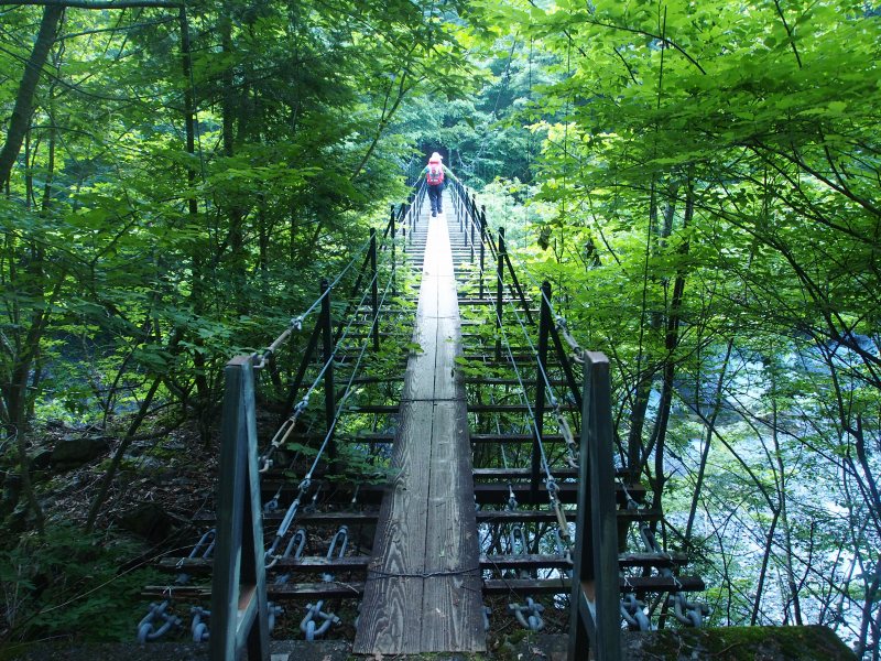 奥西河内沢に架かる吊り橋を渡ります。歩く板の幅は狭く、1人ずつ慎重に渡って行きます。