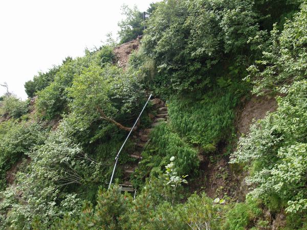 丸太で滑り止めが作られた階段状の登山道の上に県界尾根分岐を示す指導標が立っています。