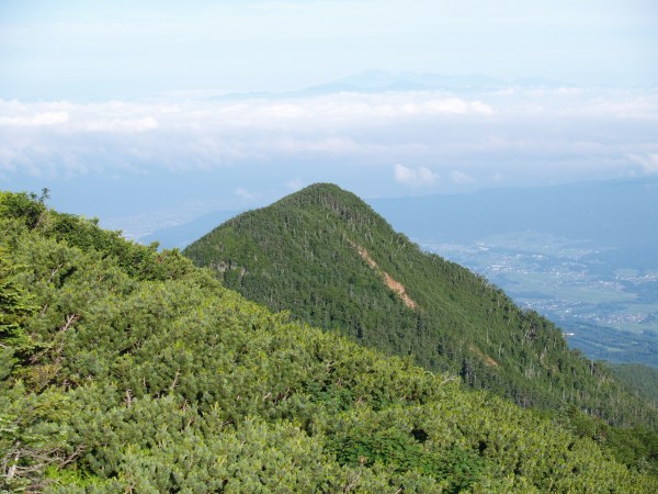 「赤岩の頭」から「峰の松目」を写す。「峰の松目」山頂は、樹林に覆われて展望はありません。。峰の松目を、八ヶ岳の1峰と数える場合もあります。