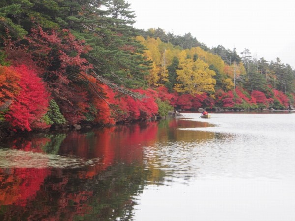 白駒池に映る紅葉。