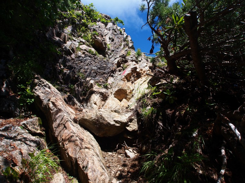 灌木帯の中に簡単な岩場を登るところがあります。この岩を登り、更に、灌木帯を僅かにトラバースすると稜線上の平坦地があり、休憩にはもってこいの場所です。
