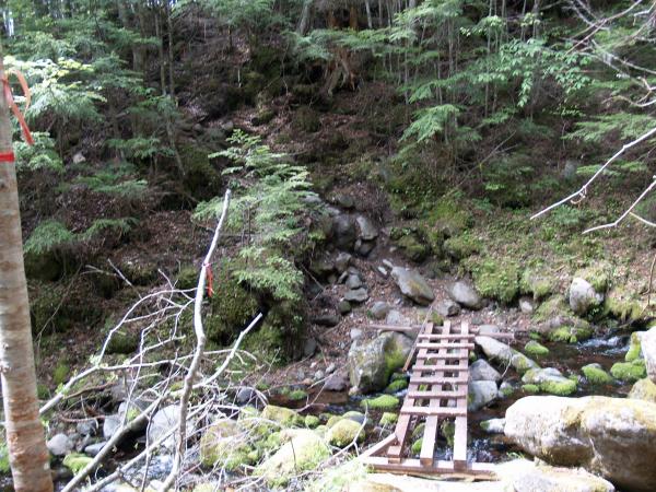 針葉樹林帯の中を5分ほど登り、中沢の沢床に架かる木橋を渡ります。橋のたもとには「稜線まで3時間30分」と書かれた黄色いプレートが掛けられています。