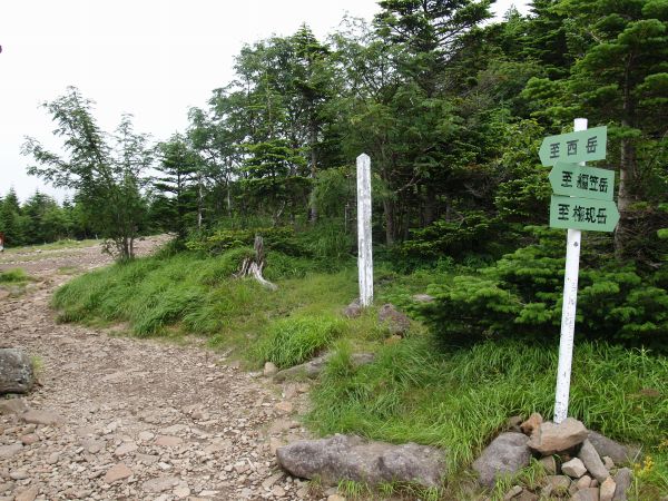 青年小屋の裏で源治新道で西岳へ向かうルートと権現岳に向かうルートが分岐します。