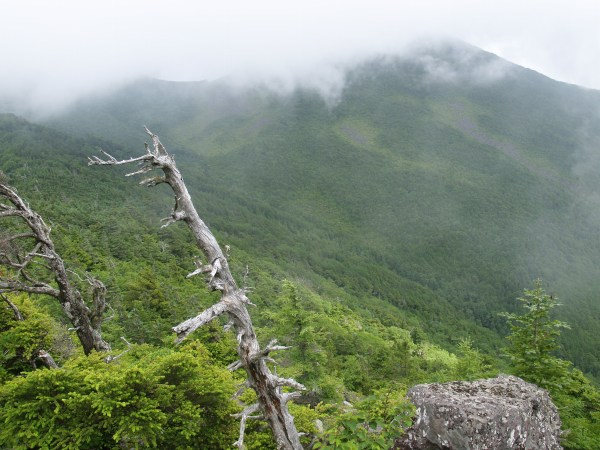 西岳近くから編笠山を望む。鞍部に青年小屋が時折雲の切れ目から見えていました。