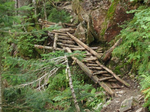 ここが最後の丸太橋です。写真では心許無く写っていますが、山側の岩に沿って登っていけば問題ありません。急斜面をひと上りして小尾根に乗ると塩川ルートが左から合流します。