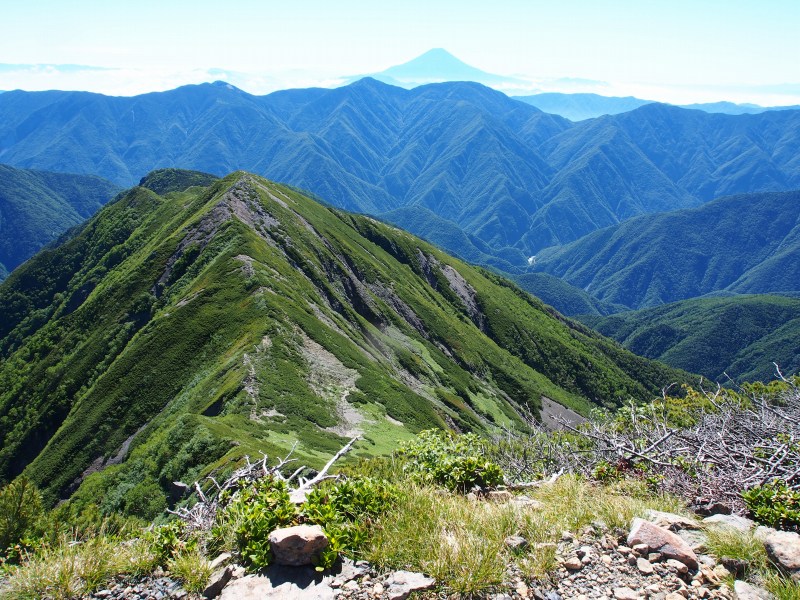 奥聖岳から聖岳東尾根を望む。東聖岳、白蓮ノ頭と稜線が続いています。ここは、椹島ロッジの15分手前の所に登山口があり、冬季ルートとして使われています。遠景に富士山が見えています。