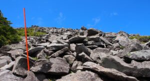 女乃神茶屋（蓼科山登山口）コース