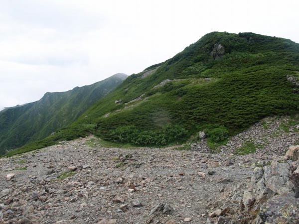 「広河内岳」への登山道の踏み跡は薄い。