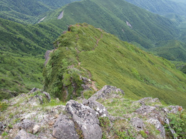 バリエーションルートの阿弥陀岳・中央陵を分岐部より望む。登山道が明瞭に見えます。