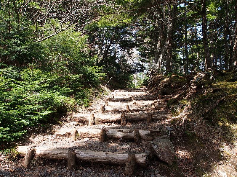 階段状の登山道