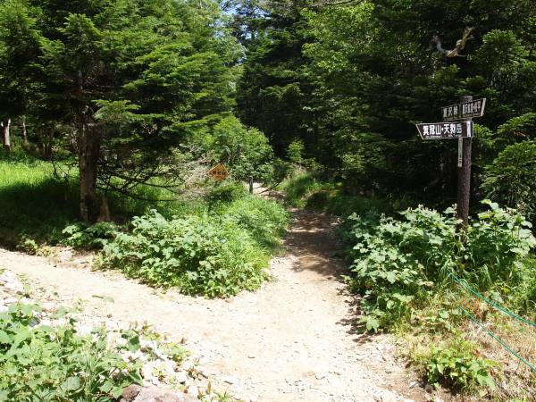オーレン小屋の裏手にある分岐　左が天狗岳、右が夏沢峠に向かいます。