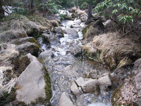 登山道がまるで川の様になっています。水に落ちないように注意して岩を選んで降りて行きます。