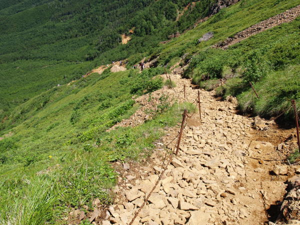 文三郎道・中岳分岐の指導標が立っている近くから、今来た登山道を見下ろすとこんな感じです。登山道には浮石が多く、下山時に使う場合には転倒に注意が必要です。