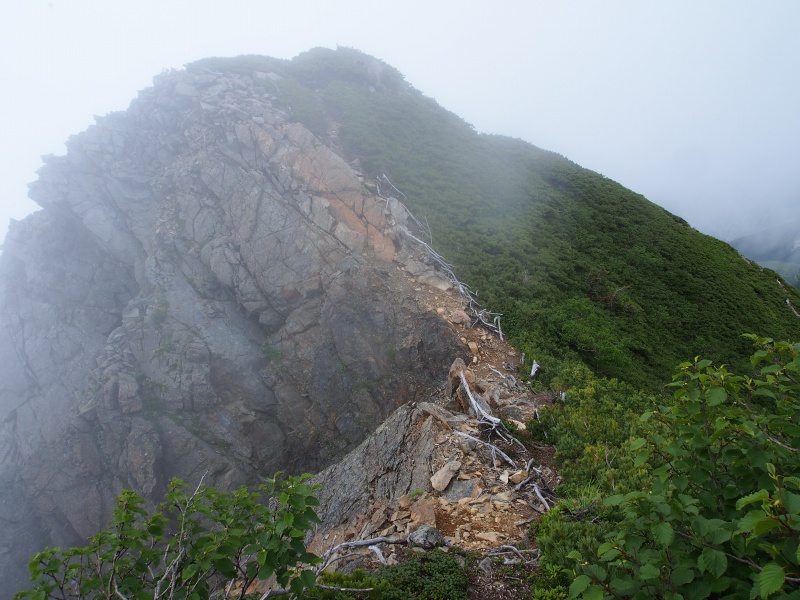 大沢岳南側のピークから岩稜帯を進み、北側のピークとの鞍部にさしかかります。西側は断崖絶壁で、ガレ場の縁を登ります。ハイマツ帯側を登れば危険はありません。