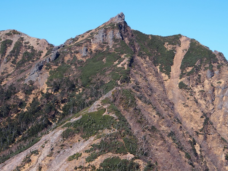 三ッ頭から権現岳を望遠で写す。稜線に沿って登山道がジグザグに付いているのが見えます。山頂直下で岩場を左手方向にトラバースした後の鎖場が核心部です。三ッ頭から山頂までは約40分のコースタイムです。