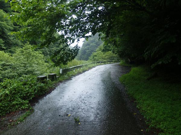 早川の支流に沿って舗装された林道を歩きます。