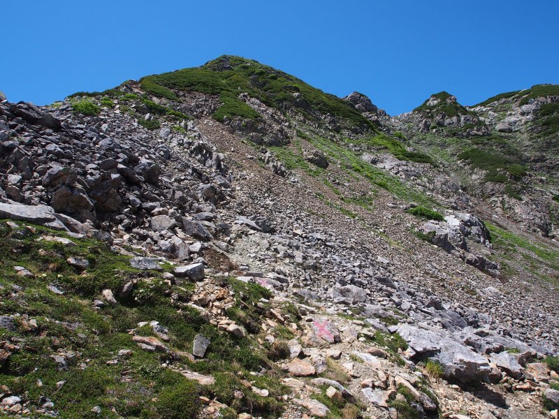 真上の丸いピーク部分（稜線にある赤石小屋分岐）に向け、ガレ場を左斜め上方に登って行きます。